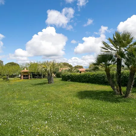 Il Girasole - Limone * Venturina Terme